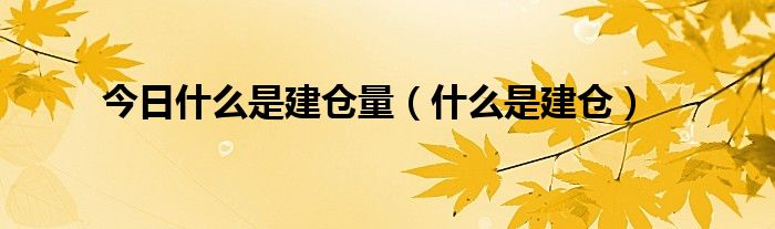 今日什么是建仓量（什么是建仓）