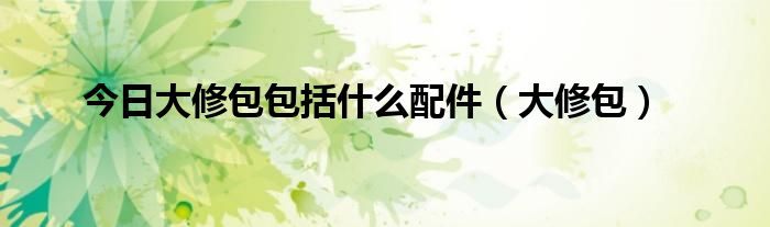 今日大修包包括什么配件（大修包）