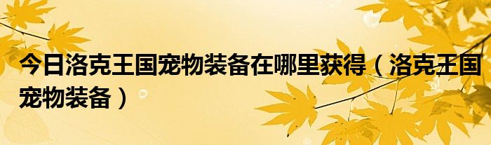 今日洛克王国宠物装备在哪里获得（洛克王国宠物装备）