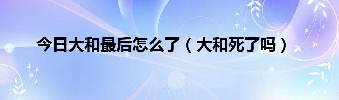 今日大和最后怎么了（大和死了吗）