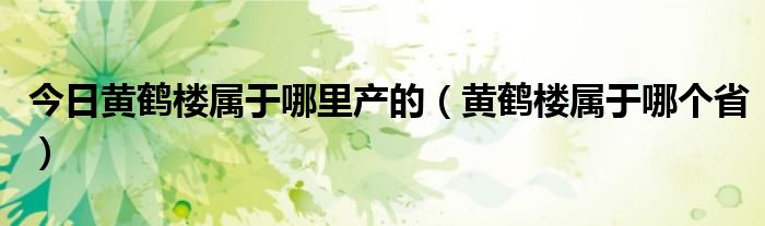 今日黄鹤楼属于哪里产的（黄鹤楼属于哪个省）