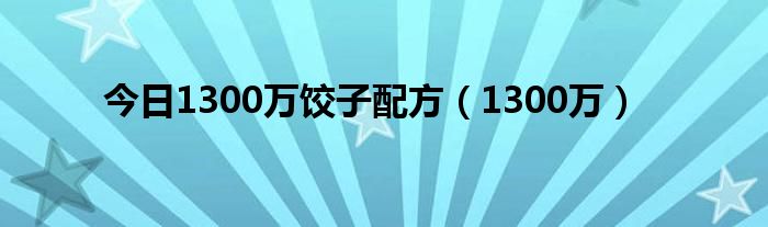 今日1300万饺子配方（1300万）