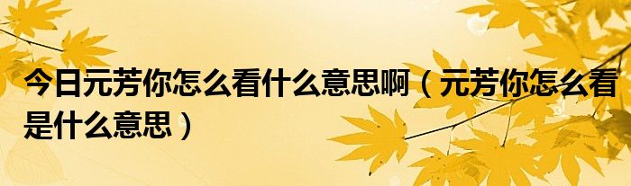 今日元芳你怎么看什么意思啊（元芳你怎么看是什么意思）