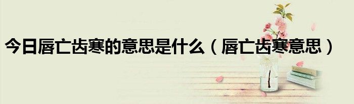 今日唇亡齿寒的意思是什么（唇亡齿寒意思）