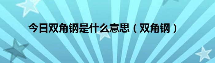 今日双角钢是什么意思（双角钢）