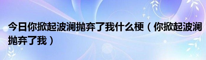 今日你掀起波澜抛弃了我什么梗（你掀起波澜抛弃了我）