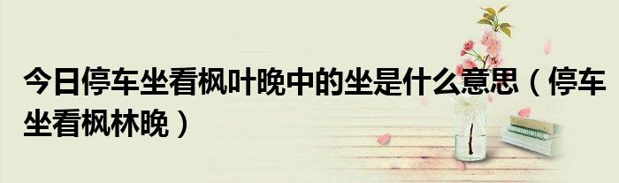 今日停车坐看枫叶晚中的坐是什么意思（停车坐看枫林晚）