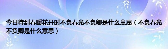 今日待到春暖花开时不负春光不负卿是什么意思（不负春光不负卿是什么意思）
