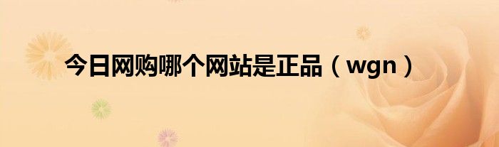 今日网购哪个网站是正品（wgn）