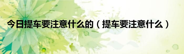 今日提车要注意什么的（提车要注意什么）