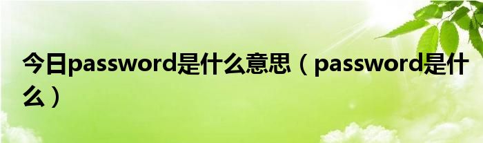 今日password是什么意思（password是什么）