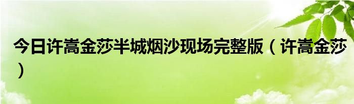 今日许嵩金莎半城烟沙现场完整版（许嵩金莎）