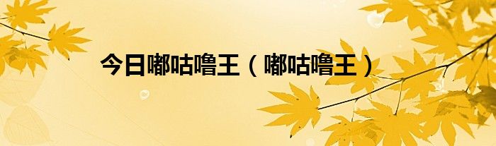 今日嘟咕噜王（嘟咕噜王）