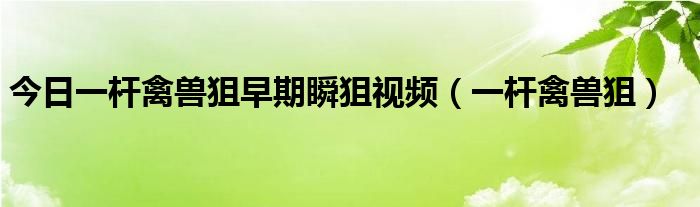 今日一杆禽兽狙早期瞬狙视频（一杆禽兽狙）