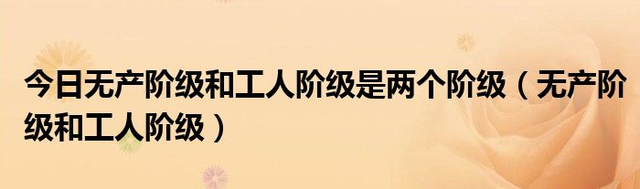 今日无产阶级和工人阶级是两个阶级（无产阶级和工人阶级）