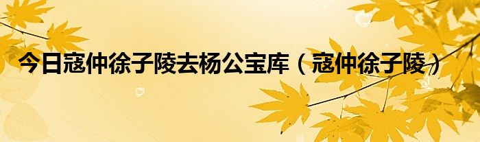 今日寇仲徐子陵去杨公宝库（寇仲徐子陵）