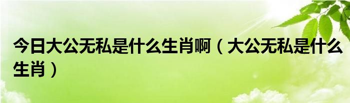 今日大公无私是什么生肖啊（大公无私是什么生肖）