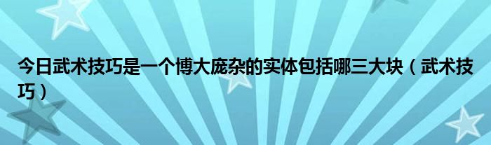 今日武术技巧是一个博大庞杂的实体包括哪三大块（武术技巧）