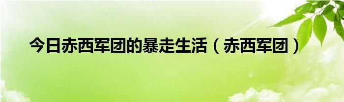 今日赤西军团的暴走生活（赤西军团）