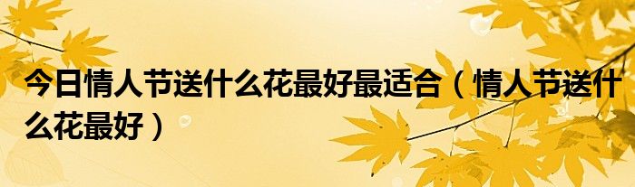 今日情人节送什么花最好最适合（情人节送什么花最好）