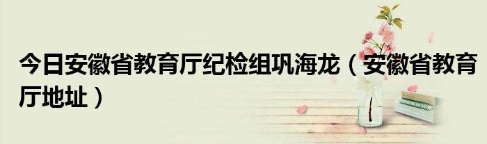 今日安徽省教育厅纪检组巩海龙（安徽省教育厅地址）