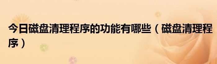 今日磁盘清理程序的功能有哪些（磁盘清理程序）