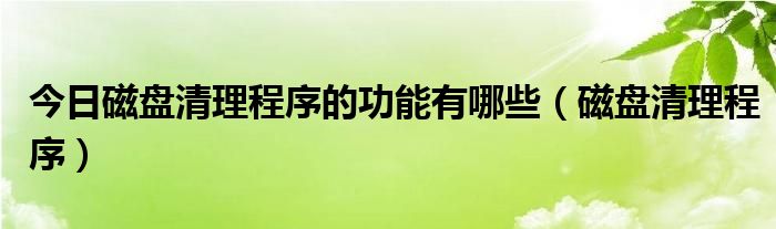 今日磁盘清理程序的功能有哪些（磁盘清理程序）