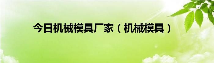 今日机械模具厂家（机械模具）