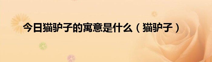 今日猫驴子的寓意是什么（猫驴子）