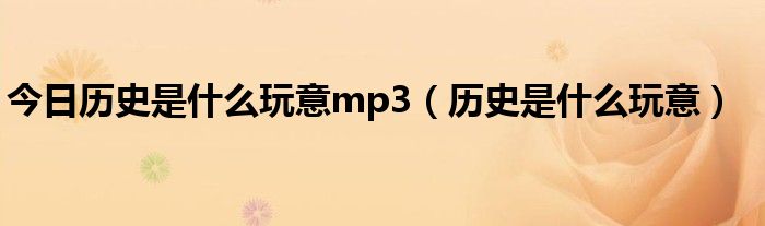 今日历史是什么玩意mp3（历史是什么玩意）
