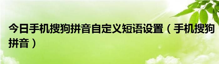 今日手机搜狗拼音自定义短语设置（手机搜狗拼音）
