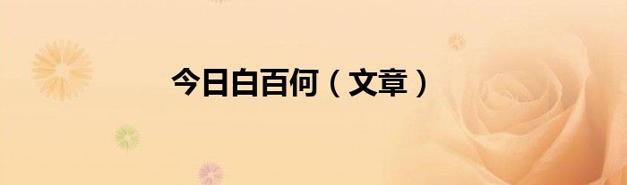 今日白百何（文章）
