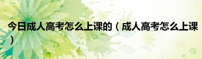 今日成人高考怎么上课的（成人高考怎么上课）