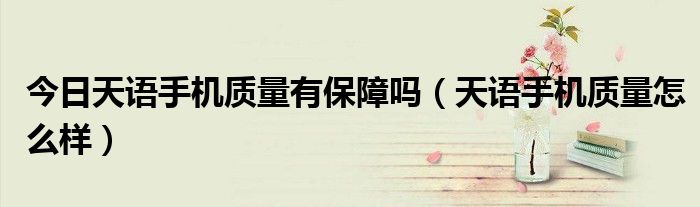 今日天语手机质量有保障吗（天语手机质量怎么样）