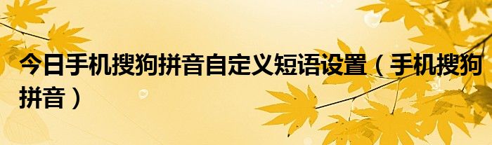 今日手机搜狗拼音自定义短语设置（手机搜狗拼音）