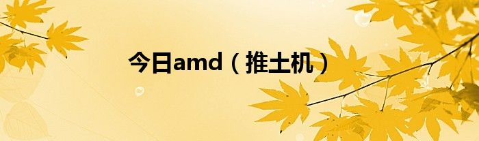 今日amd（推土机）