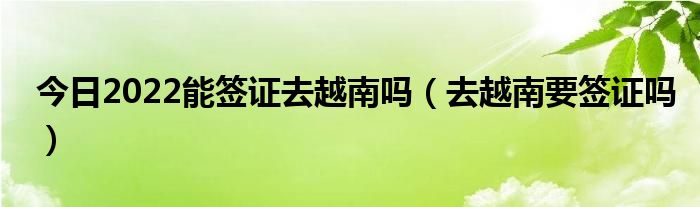 今日2022能签证去越南吗（去越南要签证吗）