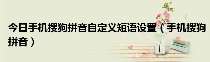 今日手机搜狗拼音自定义短语设置（手机搜狗拼音）