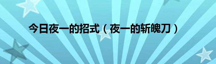今日夜一的招式（夜一的斩魄刀）