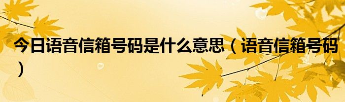 今日语音信箱号码是什么意思（语音信箱号码）