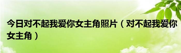 今日对不起我爱你女主角照片（对不起我爱你女主角）