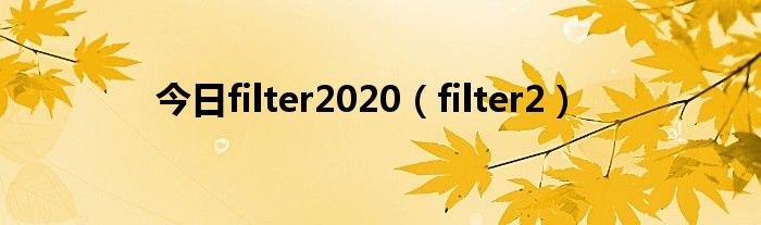 今日filter2020（filter2）