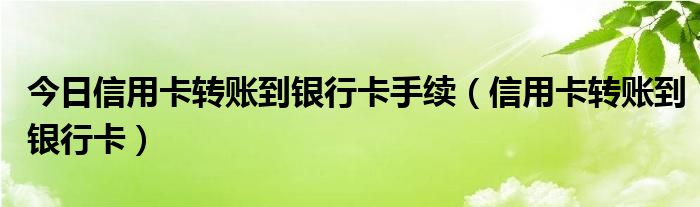 今日信用卡转账到银行卡手续（信用卡转账到银行卡）