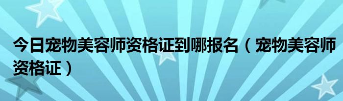 今日宠物美容师资格证到哪报名（宠物美容师资格证）