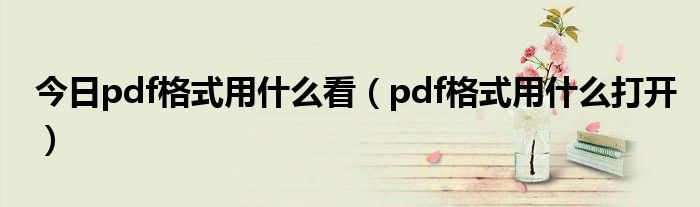 今日pdf格式用什么看（pdf格式用什么打开）