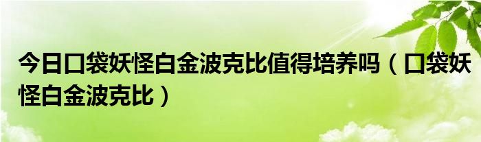 今日口袋妖怪白金波克比值得培养吗（口袋妖怪白金波克比）