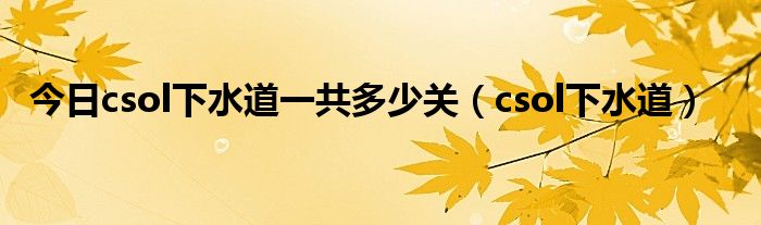 今日csol下水道一共多少关（csol下水道）