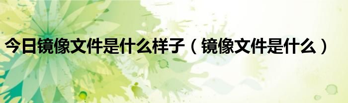 今日镜像文件是什么样子（镜像文件是什么）