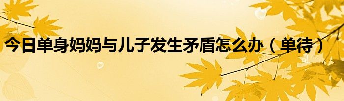 今日单身妈妈与儿子发生矛盾怎么办（单待）