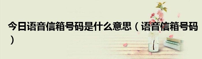 今日语音信箱号码是什么意思（语音信箱号码）